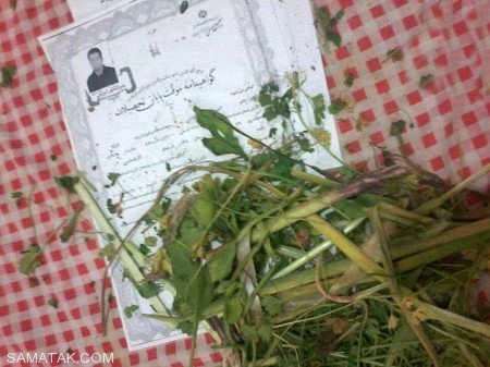 عکسهای خنده دار و تصاویر طنز جدید عکسهای خنده دار و تصاویر طنز جدید