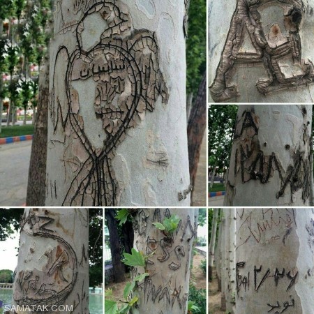 عکسهای خنده دار و تصاویر طنز جدید عکسهای خنده دار و تصاویر طنز جدید