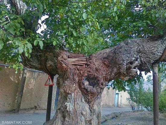 شهمیرزاد مکان توریستی خوش آب و هوا در استان سمنان + تصاویر شهمیرزاد مکان توریستی خوش آب و هوا در استان سمنان + تصاویر
