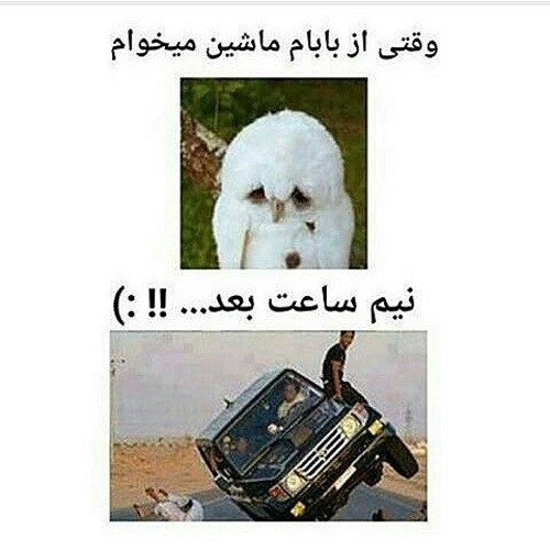 عکس های خنده دار فان عکس های خنده دار فان