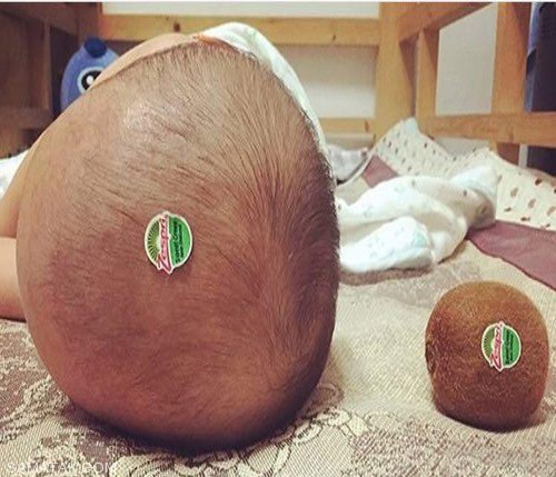 عکس های جالب و خنده دار سوتی های مردم دنیا عکس های جالب و خنده دار سوتی های مردم دنیا