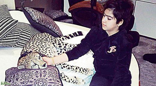 عشق بازی دختر 14 ساله با حیوانات وحشی جنگل + تصاویر