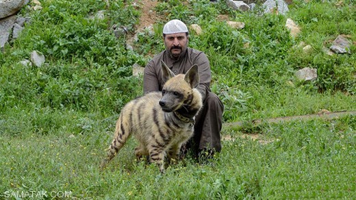 عشق بازی دختر 14 ساله با حیوانات وحشی جنگل + تصاویر