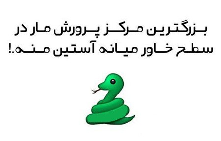 استیکر خنده دار برای گروه