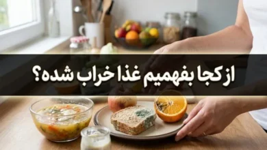 از کجا بفهمیم غذا خراب شده است؟ 57 از کجا بفهمیم غذا خراب شده