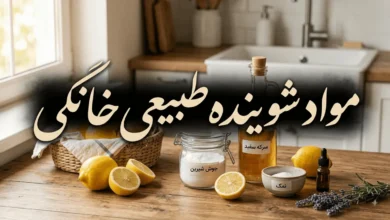 مواد شوینده طبیعی خانگی