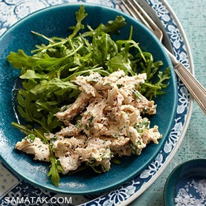 طرز تهیه یک سالاد خوشمزه جایگزین شام 1 1285810509 samatak com