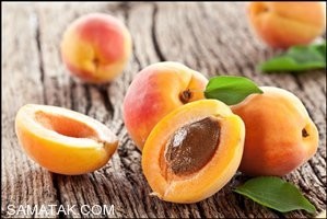 زردآلو فشار خون را کاهش میدهد صحیح یا غلط؟ 6 1237309838 samatak com