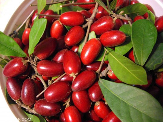 عکس میوه های استوایی با اسم و مشخصات 6 میراکل (میوه جادویی) استوایی
