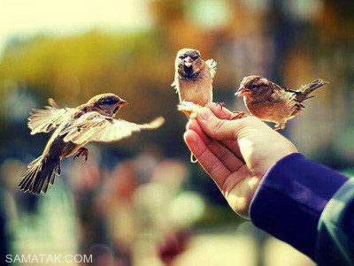 اس ام اس درد و دل های عاشقانه با خدا اس ام اس درد و دل های عاشقانه با خدا