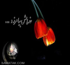 پیامک های تسلیت وفات پدر و بابا 1 703124076 samatak com