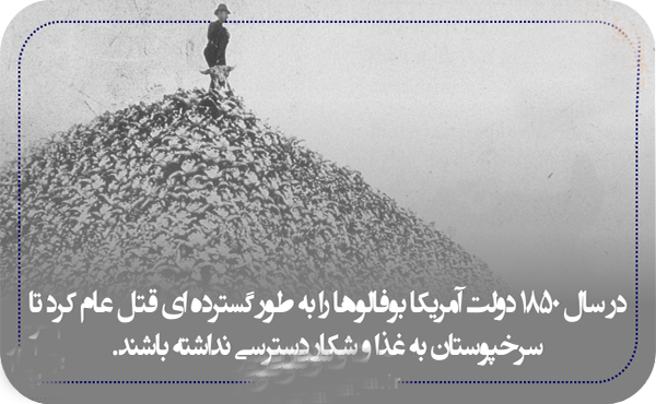 مطالب پربار از دانستنی های روز دنیا مطالب پربار از دانستنی های روز دنیا
