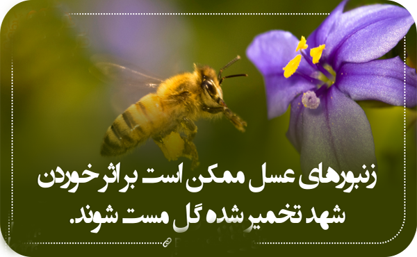 مطالب پربار از دانستنی های روز دنیا مطالب پربار از دانستنی های روز دنیا