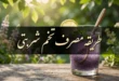 طریقه مصرف تخم شربتی در رژیم غذایی روزانه (20 روش) 150 طریقه مصرف تخم شربتی