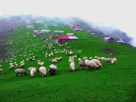 عکس های طبیعت ماسال گیلان