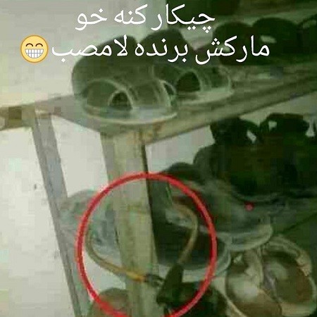 دانلود عکس های خنده دار تلگرام