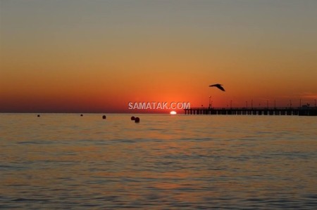 جزیره کیش | تصاویر Kish Island | عکس های کیش جزیره کیش | تصاویر Kish Island | عکس های کیش