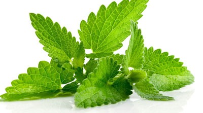 رفع تیرگی واژن زنان و دختران با 10 ماده طبیعی رفع تیرگی واژن زنان و دختران با 10 ماده طبیعی