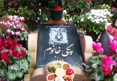 پیام های تسلیت جالب در اینستاگرام برای مرگ سگ امیر جعفری پیام های تسلیت جالب در اینستاگرام برای مرگ سگ امیر جعفری