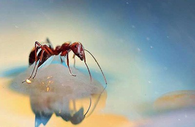 شعرهای کوتاه جدید و منحصر به فرد ایرانی شعرهای کوتاه جدید و منحصر به فرد ایرانی