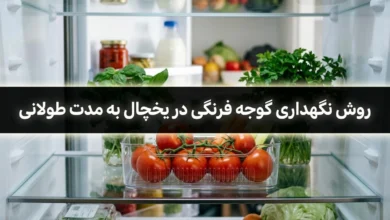 روش نگهداری گوجه فرنگی در یخچال به مدت طولانی