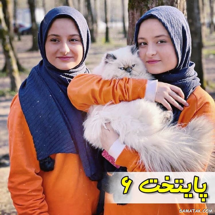 زمان پخش سريال پایتخت 6 مشخص شد + ساعت تکرار ها زمان پخش سريال پایتخت 6 مشخص شد + ساعت تکرار ها