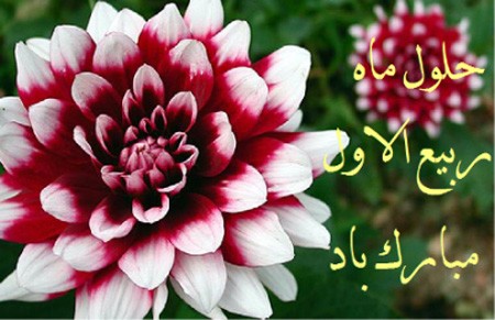 کارت پستال تبریک ماه ربیع الاول + گیف تبریک ماه ربیع الاول کارت پستال تبریک ماه ربیع الاول + گیف تبریک ماه ربیع الاول