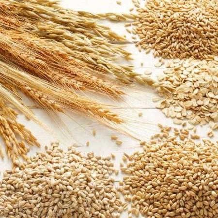 لیست برترین مواد غذایی چربی سوز در بدن