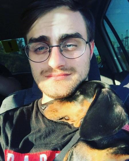 همزاد روسی هری پاتر Harry Potter + تصاویر