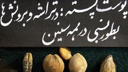 اجسام زبر و خطرناکی که از بدن بیماران خارج شدند!+ تصاویر اجسام زبر و خطرناکی که از بدن بیماران خارج شدند!+ تصاویر