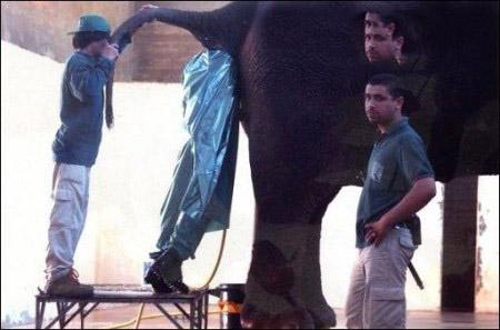 طنزهای باحال و خفن و تصاویری از صحنه های خنده دار طنزهای باحال و خفن و تصاویری از صحنه های خنده دار