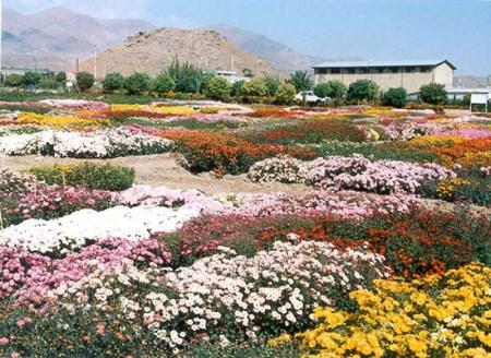 بهترین مکان های دیدنی ایران در عید