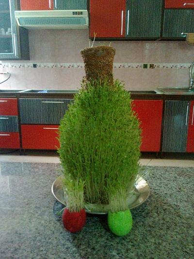 چگونه روی کوزه سبزه بکاریم