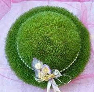 چگونه روی کوزه سبزه بکاریم