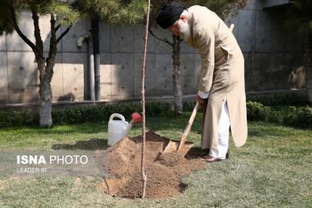 نهال کاشتن مقام معظم رهبری در روز درختکاری + تصاویر نهال کاشتن مقام معظم رهبری در روز درختکاری + تصاویر