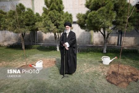 نهال کاشتن مقام معظم رهبری در روز درختکاری + تصاویر نهال کاشتن مقام معظم رهبری در روز درختکاری + تصاویر