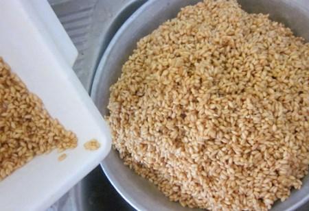 سمنو طرز تهیه و آموزش تصویری پخت سمنو