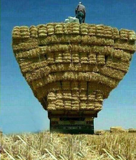 خفن و خنده دار ترین سوتی های تلگرامی خفن و خنده دار ترین سوتی های تلگرامی