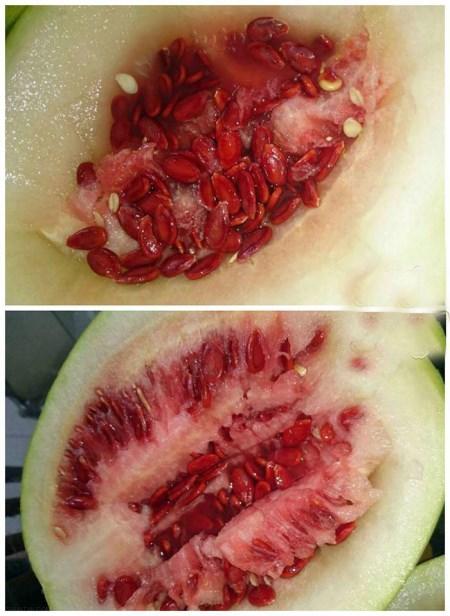 جدیدترین سوتی های خنده دار و خفن جدیدترین سوتی های خنده دار و خفن