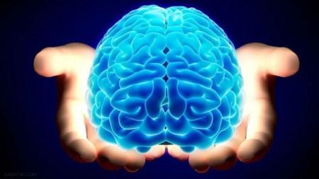 دانستنی های علمی درباره مغز انسان دانستنی های علمی درباره مغز انسان