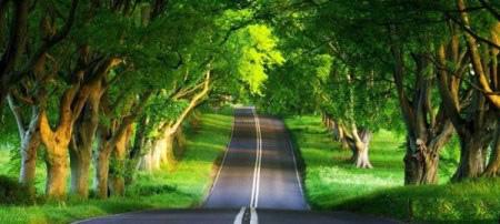 جاده های رویایی و زیبا در شمال ایران + تصاویر جاده های رویایی و زیبا در شمال ایران + تصاویر