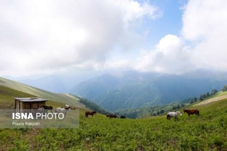 عکس هایی از طبیعت ماسال عکس هایی از طبیعت ماسال
