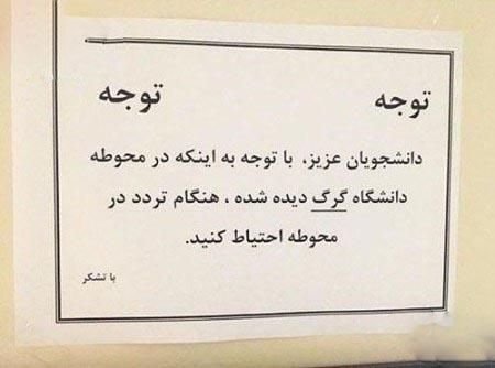 جوک با عکس خنده دار جوک با عکس خنده دار
