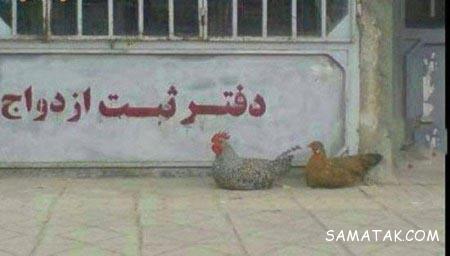 لطیفه ها و جوک های بامزه به همراه عکس خنده دار لطیفه ها و جوک های بامزه به همراه عکس خنده دار