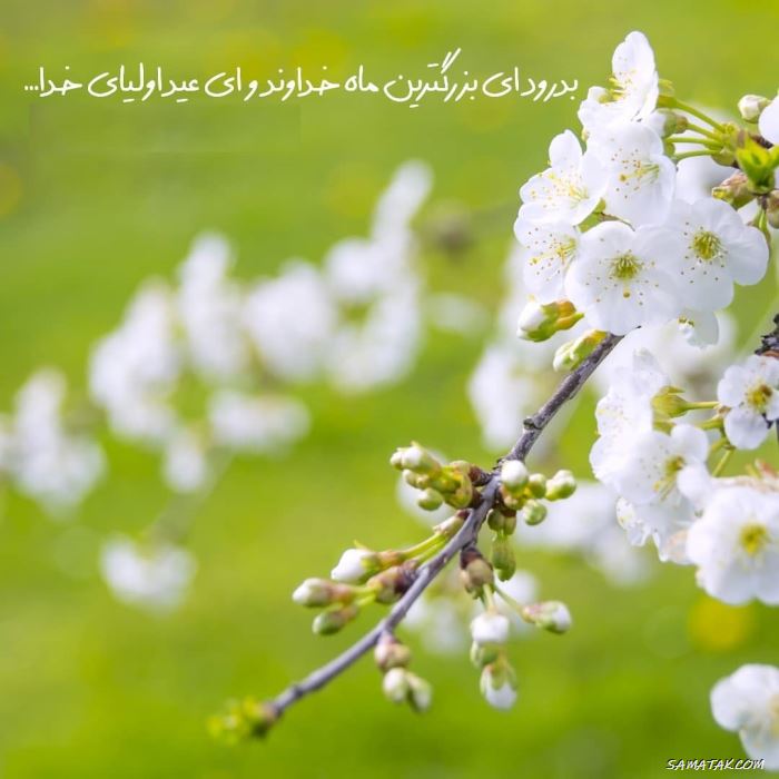 عکس پروفایل خداحافظی با ماه رمضان