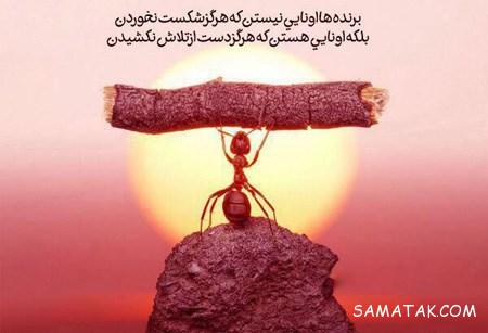 کارت پستال های مفهومی و زیبا در مورد زندگی کارت پستال های مفهومی و زیبا در مورد زندگی