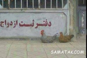 لطیفه ها و جوک های بامزه به همراه عکس خنده دار 220 1915685221 samatak com
