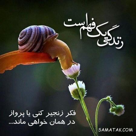 کارت پستال های مفهومی و زیبا در مورد زندگی کارت پستال های مفهومی و زیبا در مورد زندگی