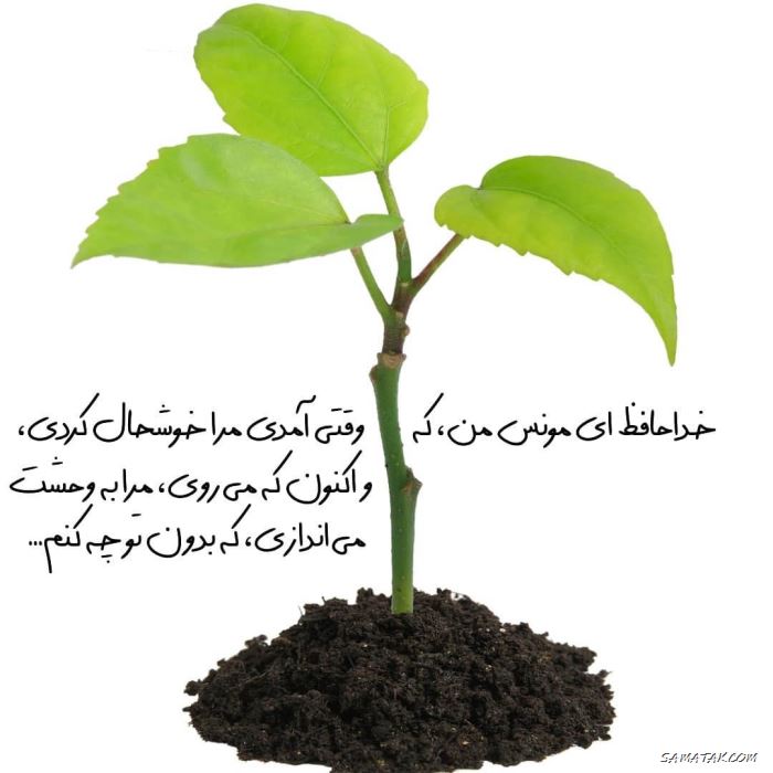 عکس پروفایل خداحافظی با ماه رمضان