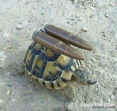 لطیفه ها و جوک های بامزه به همراه عکس خنده دار لطیفه ها و جوک های بامزه به همراه عکس خنده دار